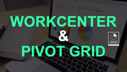 Product image for PeopleSoft WorkCenter & Pivot Grid