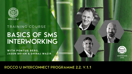 Product image for I.2.2 BASICS OF SMS INTERWORKING