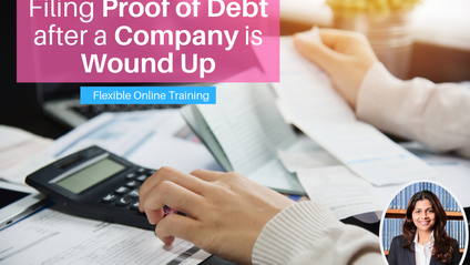Product image for (English) Filing Proof of Debt after a Company is Wound Up by Lavinia Kumaraendran