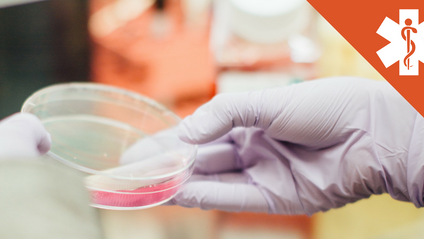 Product image for Stool Analysis Masterclass & Meet your Microbiome
