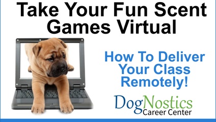 Product image for Take Fun Scent Games Virtual!