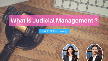 Product image for (English) What is Judicial Management by Sean Tan Yang Wei & Lavinia Kumaraendran (Thomas Philip Advocates & Solicitors)