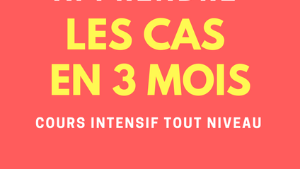 Product image for Apprendre et comprendre les cas en russe en 3 mois