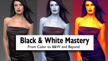 Product image for Black & White Mastery