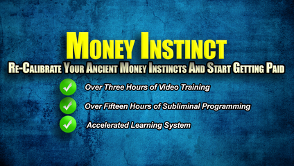 Product image for Money Instinct