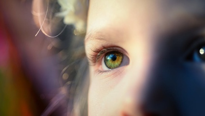 Product image for The Family Eyecare Mini-Course