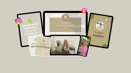 Product image for 2 måneders mentor-forløb 2.0