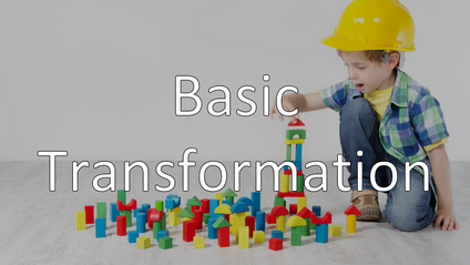 Product image for 102 - Basic Transformation