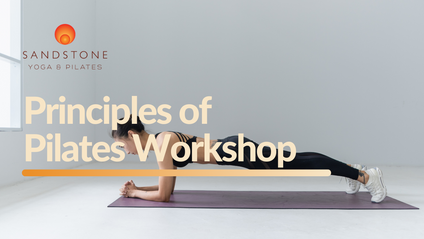 Product image for Principles of Pilates