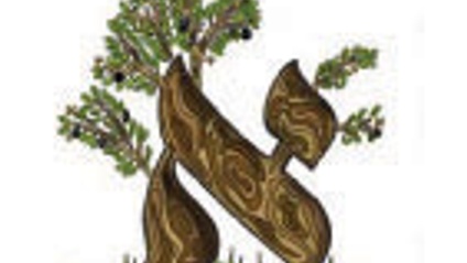Product image for Learn Alef Bais