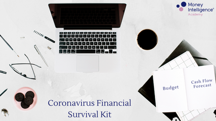 Product image for Coronavirus Financial Survival Kit