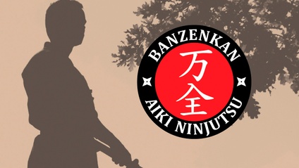Product image for Aiki Ninjutsu Brown Belt Curriculum