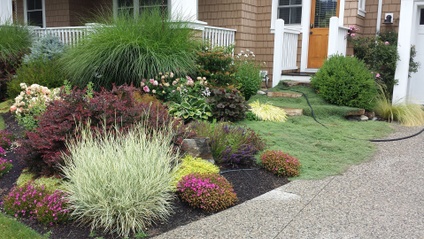 Product image for Sustainable Landscaping Techniques (169min)