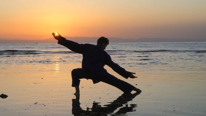 Product image for Grasping Qi & Qigong