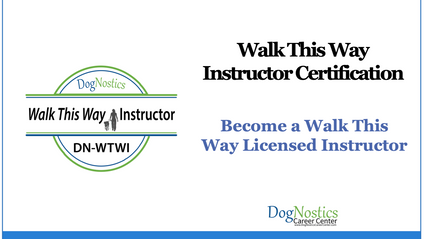 Product image for Qualify as a Walk This Way Instructor