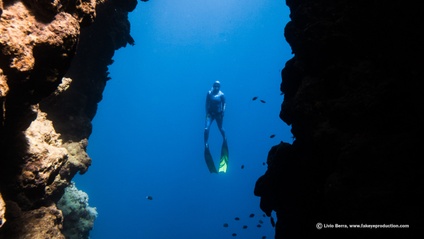 Product image for Open Water Free Diver eLearning