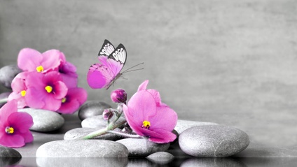 Product image for Setting Sacred Space