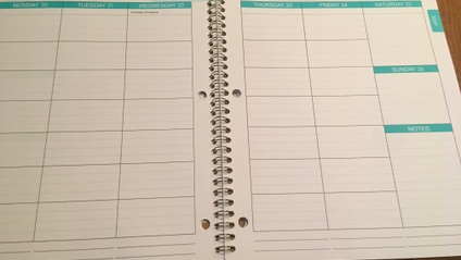 Product image for Ally and Genevieve Share 4 Steps for Using a Planner to Manage Schoolwork