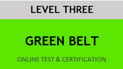 Product image for Lean Six Sigma Green Belt