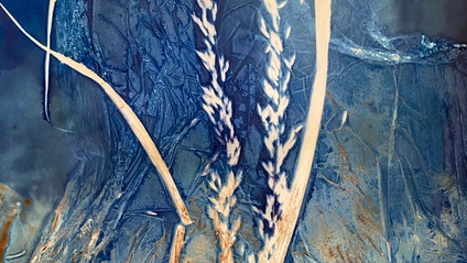 Product image for Cyanotypes The Magic of Alternative Photography