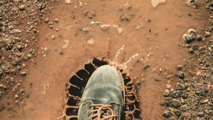 Product image for Understanding Soil Health and Science (140min)