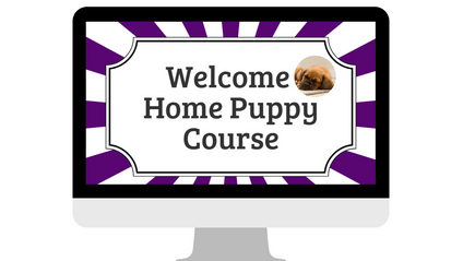 Product image for Welcome Home Puppy