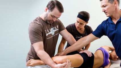 Product image for PhysioKinetix Level 4 Techniques