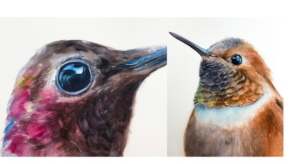 Product image for Watercolor Hummingbird