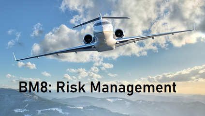 Product image for BM8: Risk Management