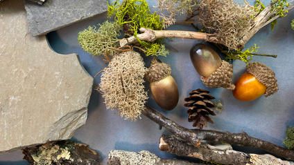 Product image for Mixed Media Using Natural Materials with Cheryl Cohen