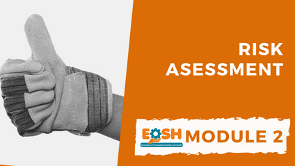 Product image for Risk Assessment