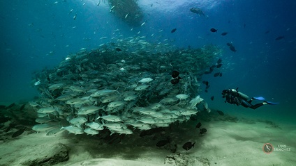 Product image for Recreational Trimix Diver eLearning