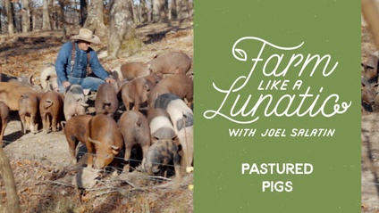 Product image for Pastured Pigs