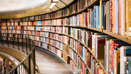 Product image for Digital Business Domination Library