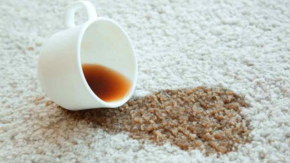 Product image for 2.  Basic Stain Removal