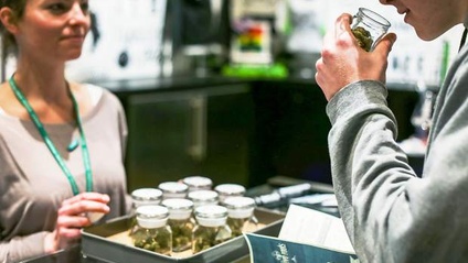 Product image for Maine Medical & Recreational Marijuana Dispensary Training