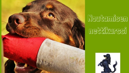 Product image for Nouda!