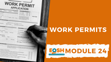 Product image for Work Permits