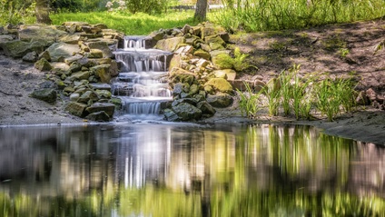 Product image for All About Water Features (83min)