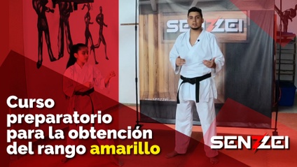 Product image for Entrenamiento técnico para cinturones blancos