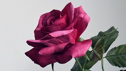 Product image for Master The Garden Rose