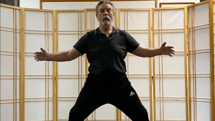 Product image for Taiji Ball exercise