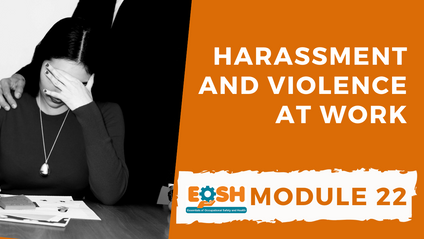 Product image for Harassment and Violence at Work