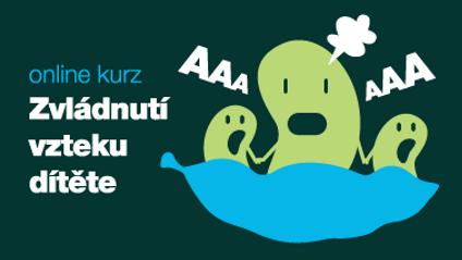 Product image for ZVLÁDNUTÍ VZTEKU DÍTĚTE: Co ví věda o dětských emocích?
