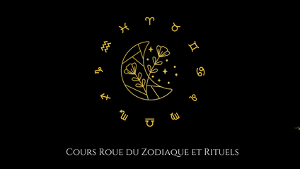 Product image for Les Signes du Zodiaque et les Rituels associés