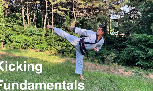 Product image for Kicking Fundamentals Course