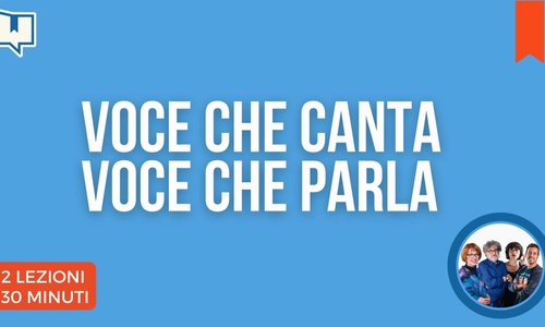 Product image for Voce che canta, voce che parla