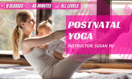 Product image for Postnatal Yoga