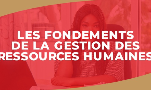 Product image for IGTC01RH - LES FONDEMENTS DE LA GESTION DES RESSOURCES HUMAINES (FR)