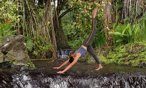 Product image for Yoga Gigs with Sobi